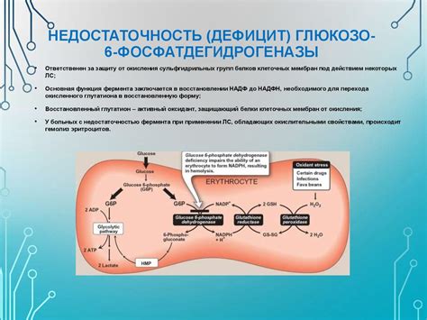 Фармакогенетика. Генетические основы индивидуальной чувствительности к ...
