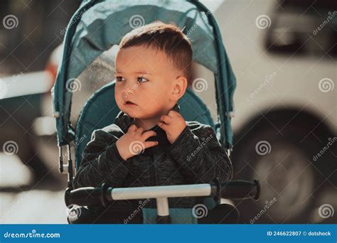 сладкий мальчик на коляске на велосипеде на улице. маленький ребёнок в ...