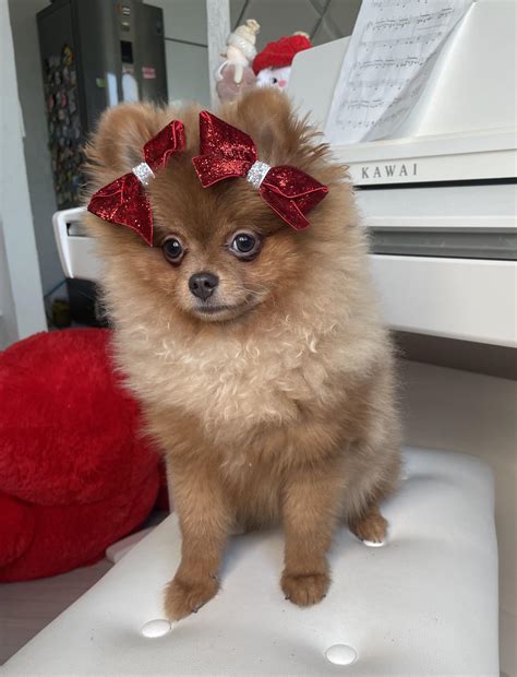 zolotova_tanya (u/zolotova_tanya) - Reddit