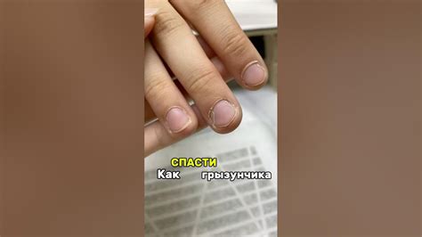 Как спасти грызунчика 🙈 #shorts #рекомендации #маникюр #ногти #грызуны ...