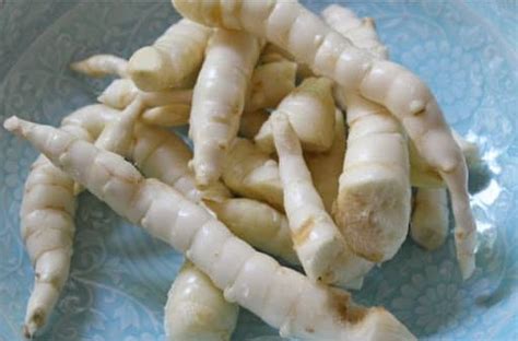 root crops grown   philippines dengarden