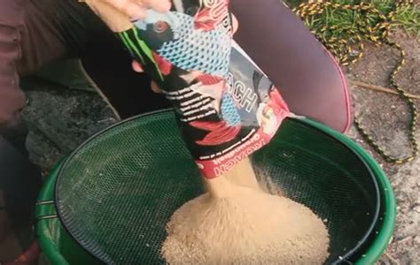 Плотва рыба фото и описание, как выглядит, где водится - ловля плотвы ...