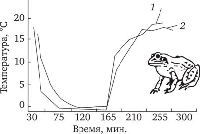 Пойкилотермные организмы - Организм и среда. Физиологическая экология