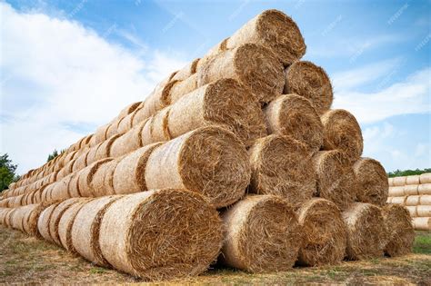 Premium Photo | Bales of hay hay bales are stacked on the field in ...