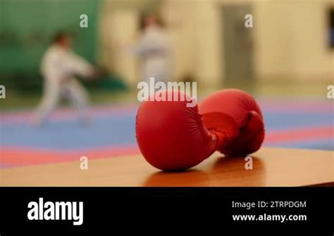 Tatami karate Stock Videos & Footage - HD and 4K Video Clips - Alamy