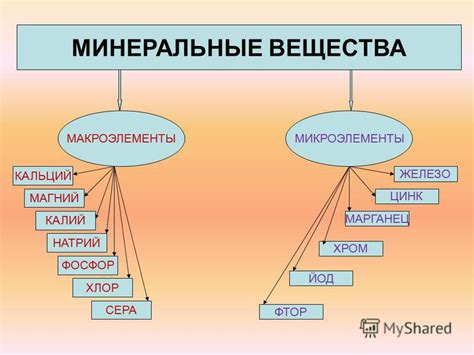 Презентация на тему: "ПИЩЕВЫЕ ВЕЩЕСТВА Вещества, необходимые для ...
