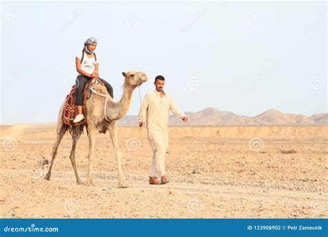 Tourist Girl Riding a Camel Editorial Photography - Image of mammal, desert: 123908902