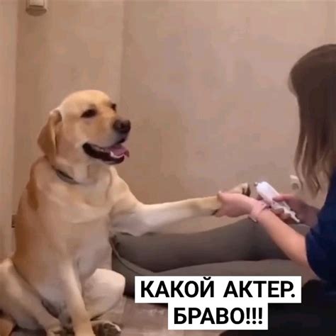 Какой аетер - YouTube