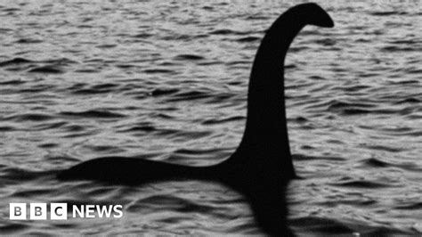 Loch Ness Monster may be a giant eel, say scientists - BBC News