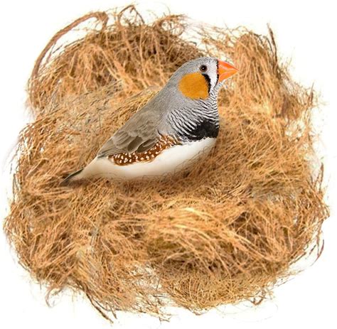 10 Best Cockatiel Cage Accessories 2023: According to Reviews | Chewy