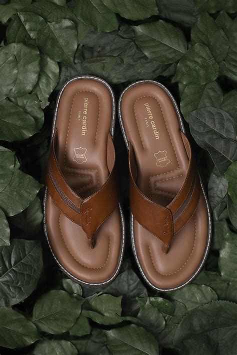 Summer Collection 2024