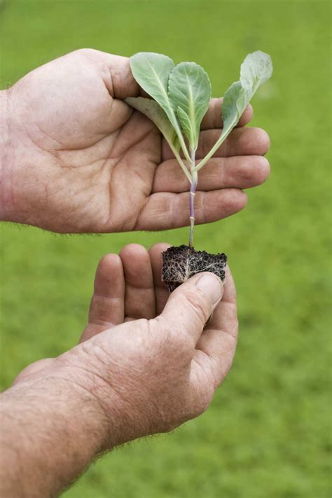How to Weatherproof Old Windows