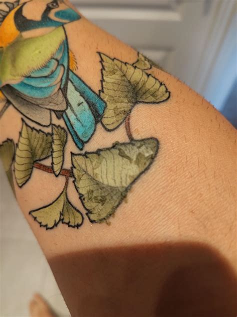 unscented moisturizer for tattoo 1