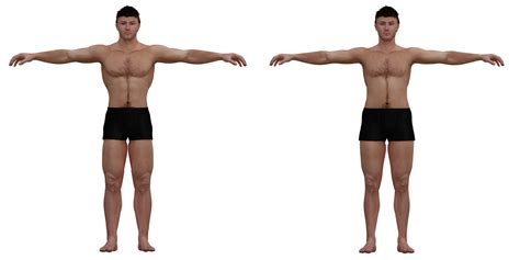 Ideal to real: What the 'perfect' body really looks like for men and ...