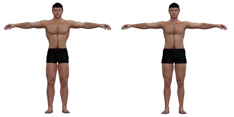 Ideal to real: What the 'perfect' body really looks like for men and women - NBC News