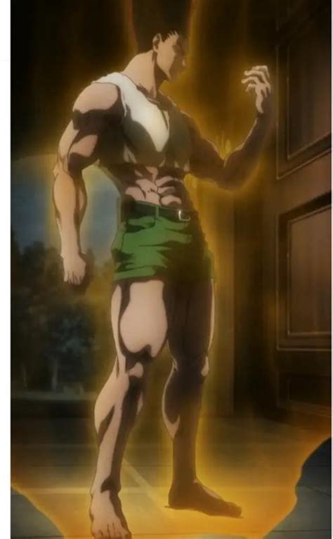 В какой серии аниме hunter x hunter гон войдёт во 'взрослую форму' (хз ...