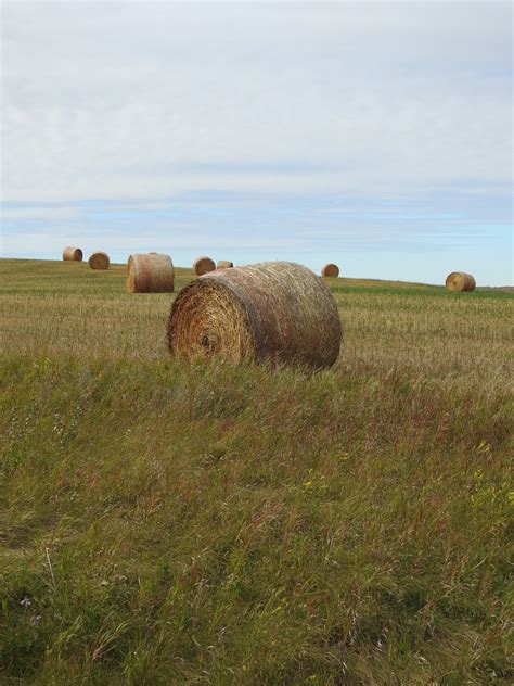 The view from here: Fine art nude photography