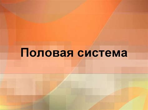 Половая система - презентация онлайн