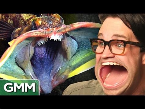 Unbelievable Underwater Creatures - YouTube