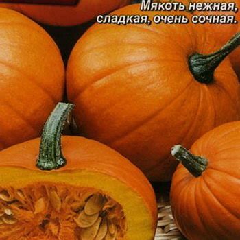 Купить семена Тыква крупноплодная Сладкий пирог в магазине Первые ...