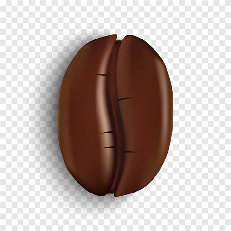 Realistic coffee bean on transparent background 1330194 Vector Art at ...