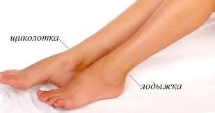 лодыжка это какая часть тела