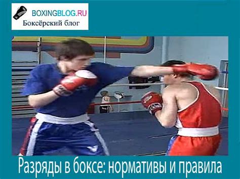 Разряды в боксе: нормативы и правила