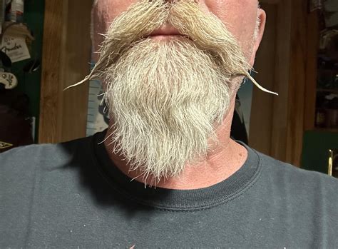 Hitler Moustache Today 4
