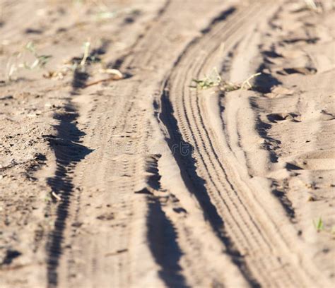Trace of the tire tread stock photo. Image of sand, natural - 89222012