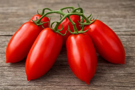 How to Grow San Marzano Tomatoes A Complete Guide - Tomato Craze