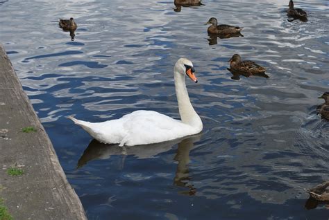 Terms and Conditions of Carriage | ChesterBoat