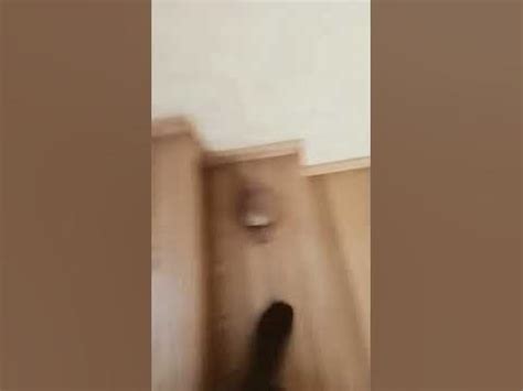 Аривидерчи - YouTube