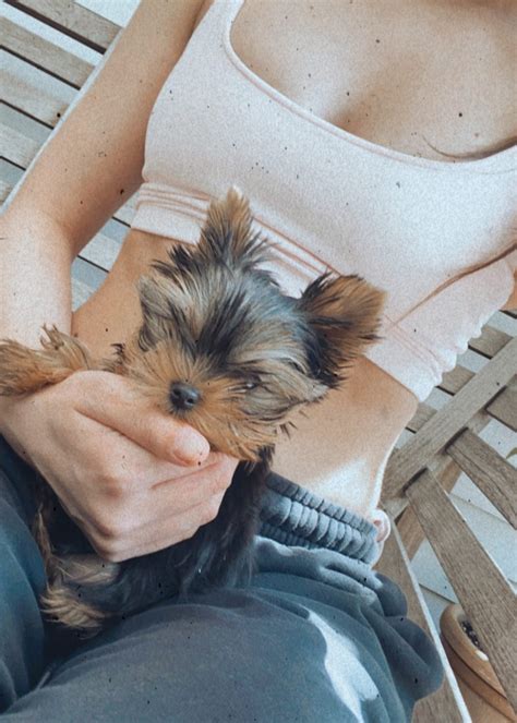 hailee-steinfeld-puppy | Teacup Puppies & Boutique