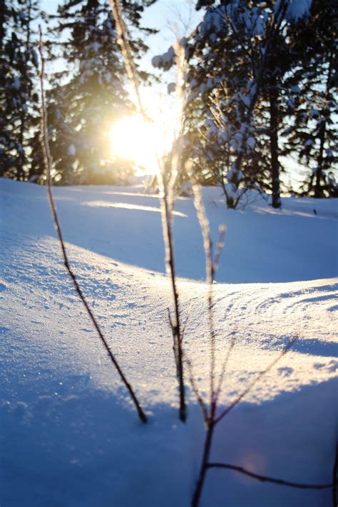 POHJOISEN TAIVAAN ALLA