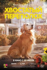 Падшие (2024) – смотреть онлайн сериал в хорошем качестве