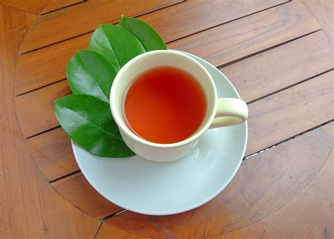 Soursop Leaf Tea Benefits – Krittiya Garden World