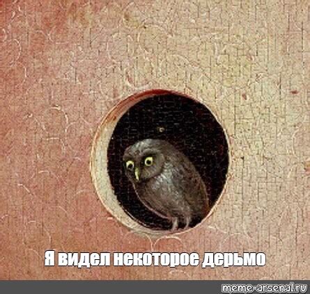Создать мем "я видел некоторое дерьмо, рисуем сову, little owl ...