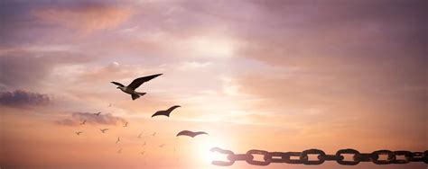 EMDR Therapy Melbourne | Light Mind Counselling