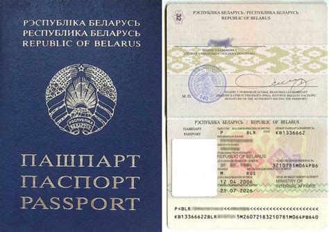 Гражданство РФ для белорусов в упрощенном порядке в 2025 году: документы