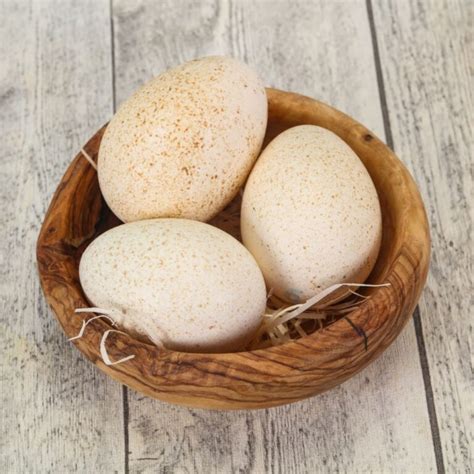 Turkey Eggs - Can You Eat Them? (and live to tell the story)