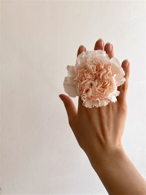 Цветочная нежность | Flores, Floristerías, Floral