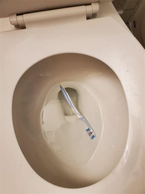 Accidentally knocked toothbrush off the counter. : r/Wellthatsucks