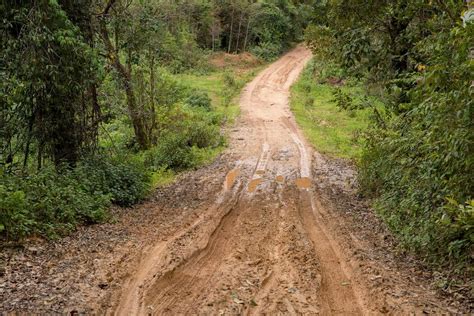 dirt road texture stock  images  backgrounds