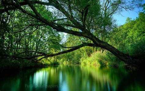 HD Wallpapers 1080p Nature (68+ pictures) - WallpaperSet