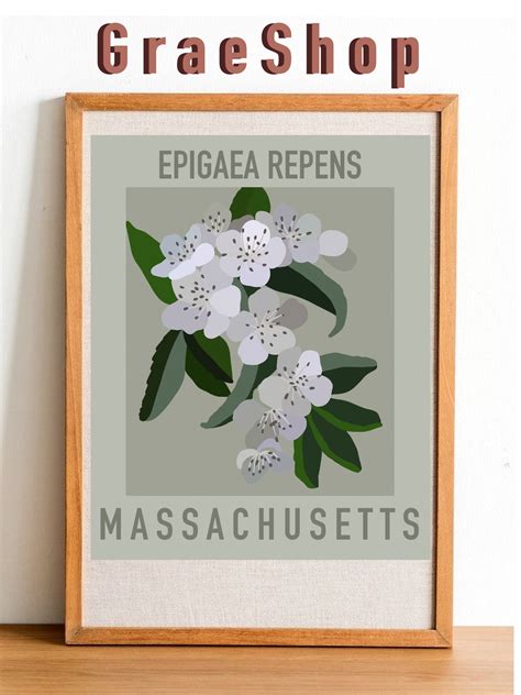 Massachusetts State Flower Print Mayflower DIGITAL PRINT - Etsy