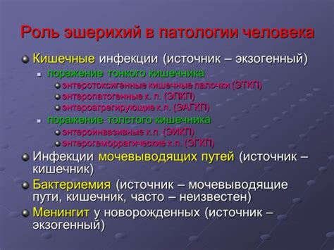Кишкова паличка: що це таке і методи лікування захворювання | Бережіть ...