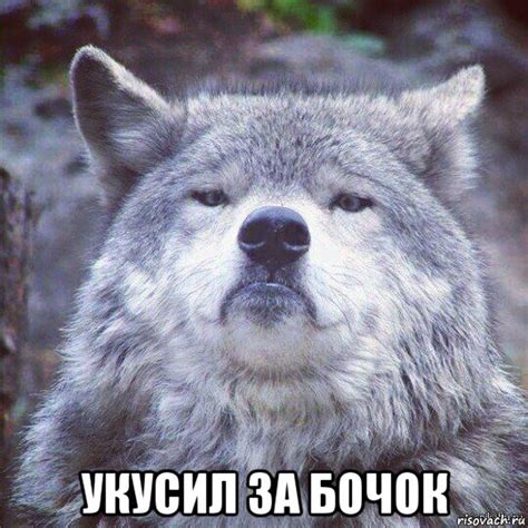 Мемы Серенький волчок - Рисовач .Ру