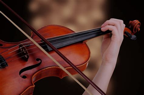 Viola ¿Cual es su historia? ¿Cuales son sus tipos? Como suena y mas.