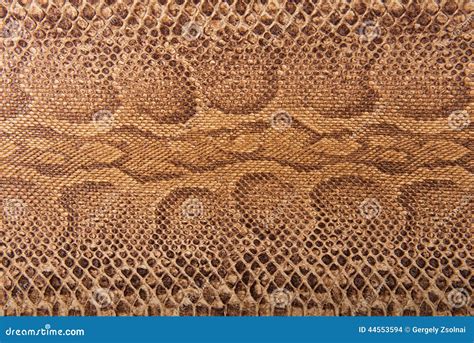 snake pattern design royalty  stock photo cartoondealercom