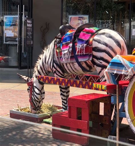 Fun Activities in Tijuana: aka Mexico's Foodie Playground